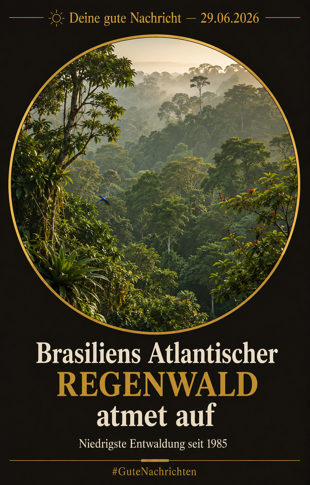 Dichter atlantischer Regenwald in Brasilien im Morgenlicht – grünes Blätterdach, Nebel zwischen hohen Bäumen, ein kleiner bunter Vogel